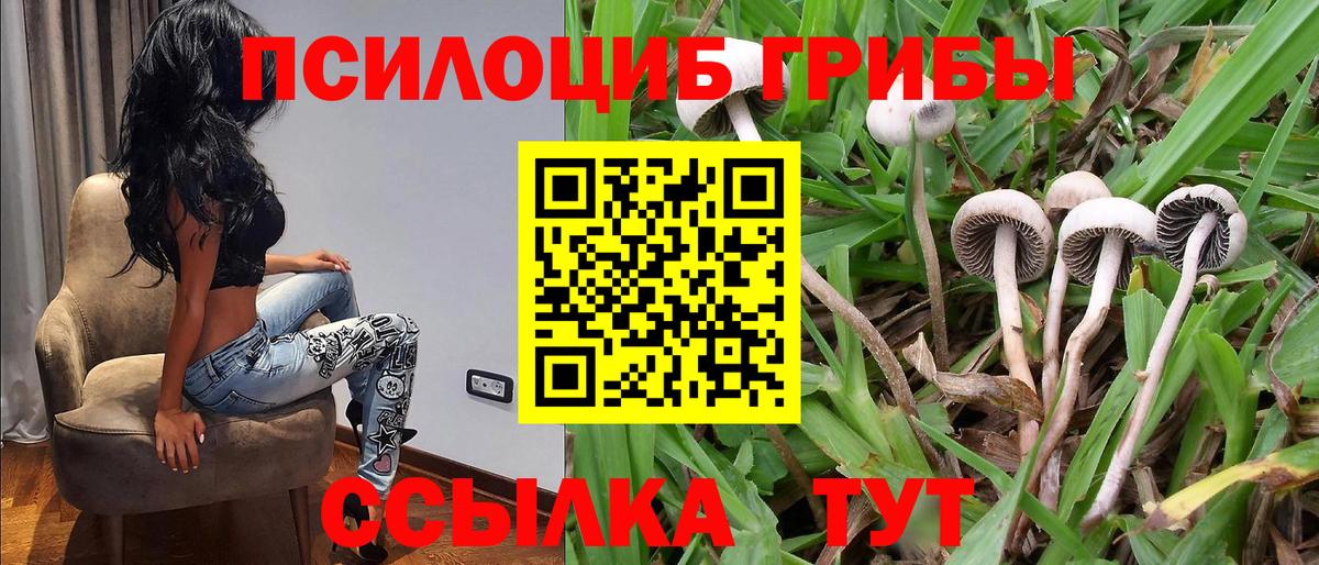 Галлюциногенные грибы Psilocybe  Галлюциногенные грибы мухоморы  Воркута  Вход с VPN 